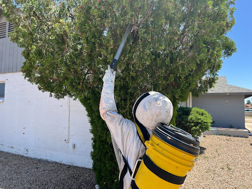 A.S.A.P. Bee Removal