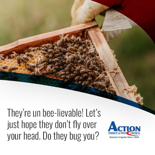 ACTION Termite & Pest Control