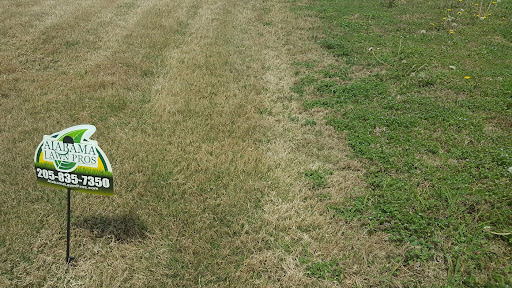 Alabama Lawn Pros, LLC