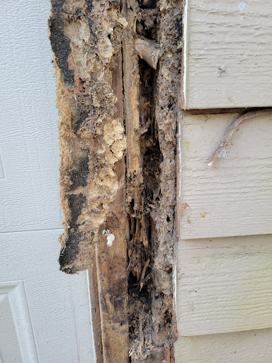Havard Pest Control