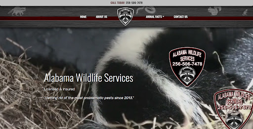 Alabama Wildlife Control of Albertville Alabama