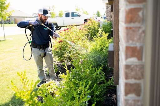 Alder Pest Control