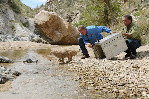 Animal Experts, Inc.