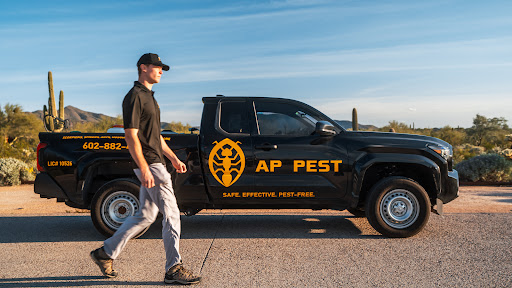 AP Pest