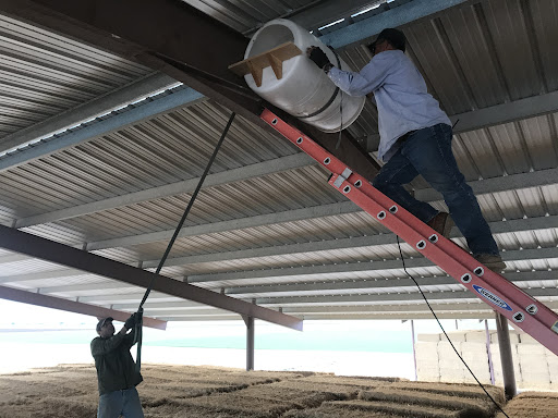 Pest control near me in Eloy