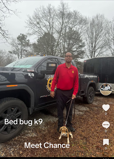 Bad Bugs Pest & Bed Bugs