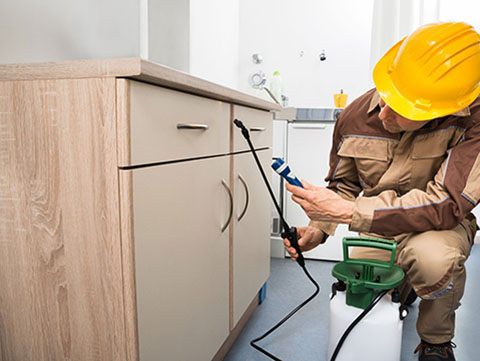 Barrier Termite & Pest Control