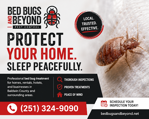 Bed Bugs and Beyond Pest Control