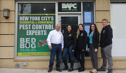 Big Apple Pest Control