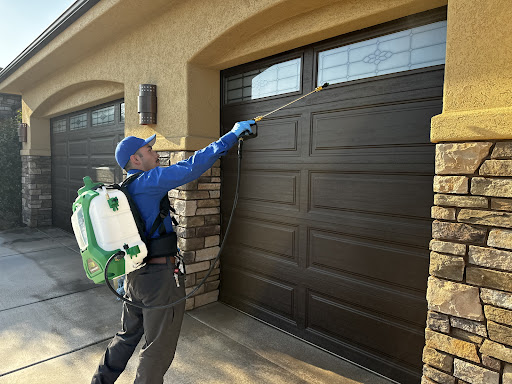 Blue Diamond Pest Control