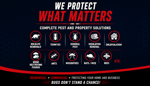 Bug Away