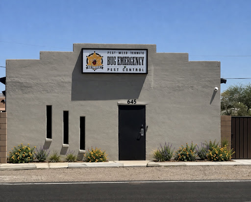 Pest control near me in Bullhead City