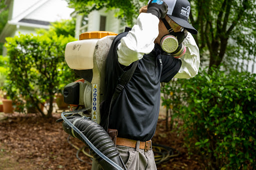 Bug House Pest Control - Carrollton