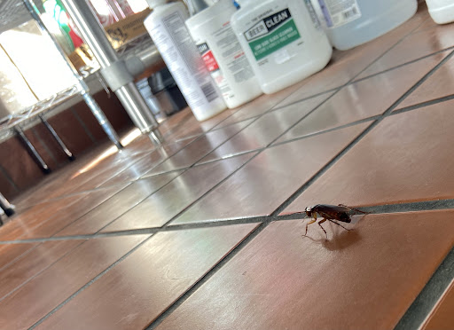 Burnett Exterminating