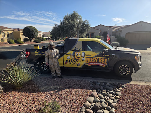 Busy Bee Pest Solutions