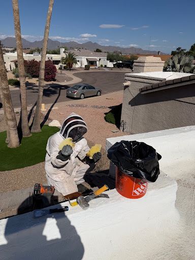 Buzz Tech Bee Removal