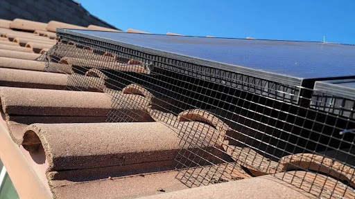 Cheetah Solar Panel Cleaning and Pigeon Control