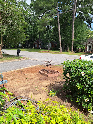 CMT Tree Service