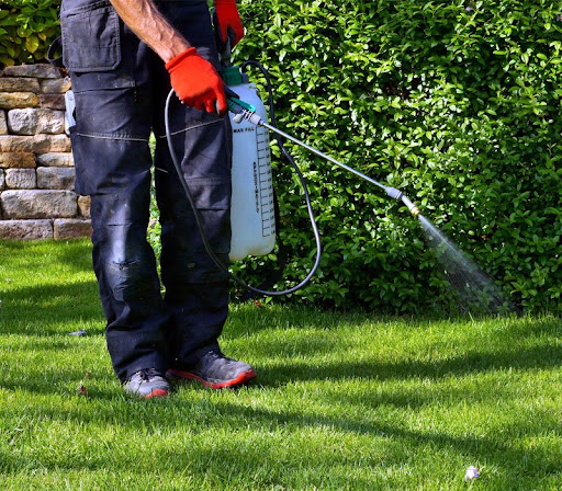 Pest control near me in Calera