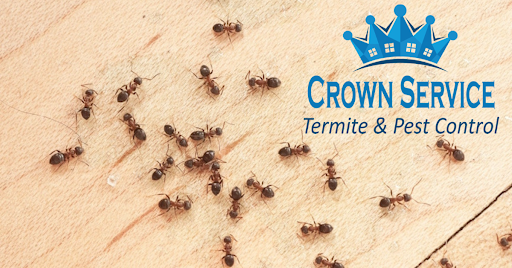 Crown Service Termite & Pest Control
