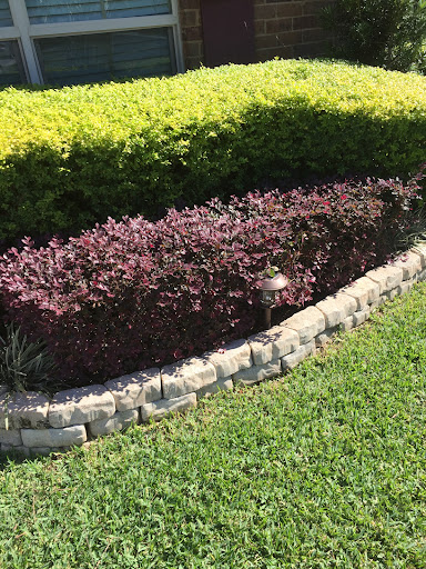 Cutting Edge Lawns