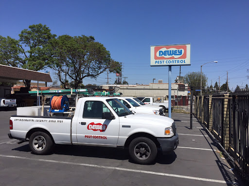 Pest control near me in Talladega