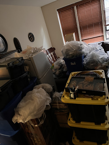Discreet Bed Bug Inspections