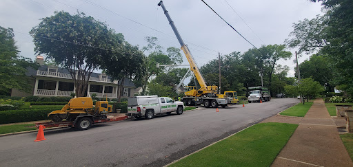 Douglas Tree Service, LLC