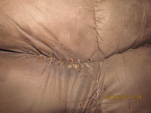 EcoClear Pest Control