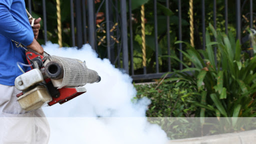 EcoDefense Pest Control