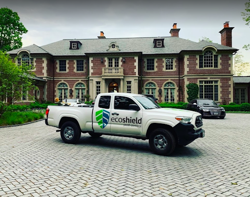 EcoShield Pest Solutions