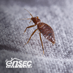 EnSec Pest & Lawn, Mobile