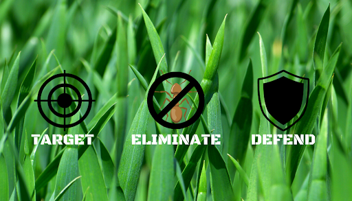 Pest control near me in Orange Beach
