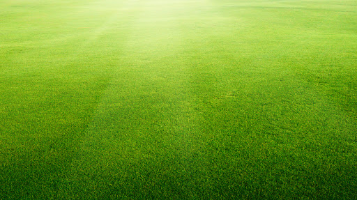 FH Lawn & Pest Services