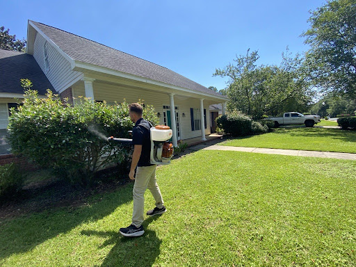 Pest control near me in Theodore