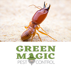 Green Magic Pest Control