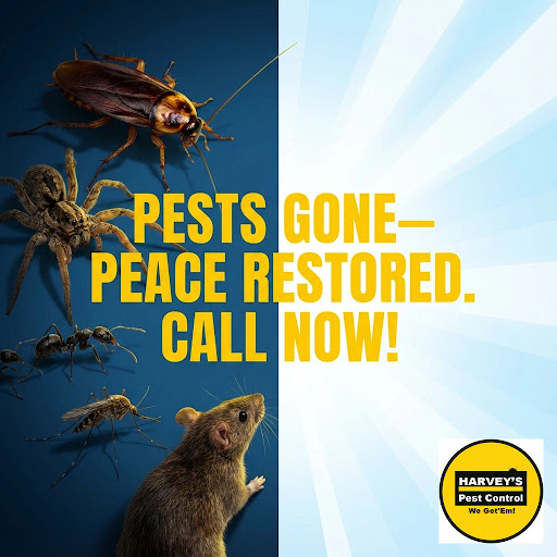 Harvey's Pest Control