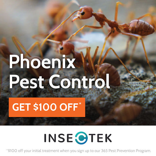 Insectek Pest Solutions