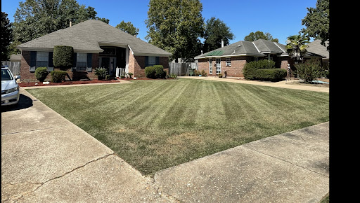 LUIS LAWN SERVICE