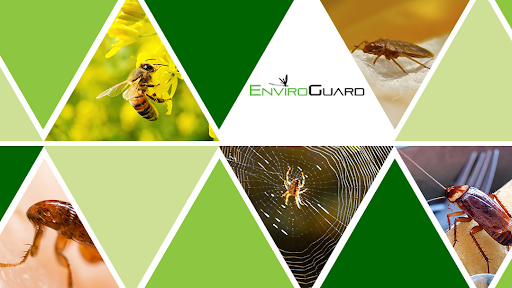 Massey Services Pest Control