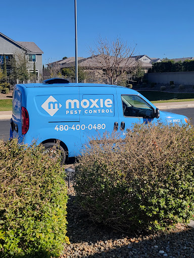 Moxie Pest Control