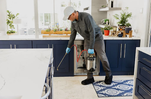 MR. Pest Control Los Angeles