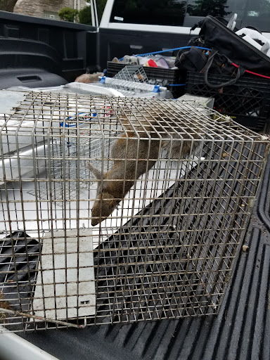 Next Generation Pest Control LLC