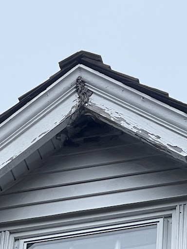Pest control near me in Florala