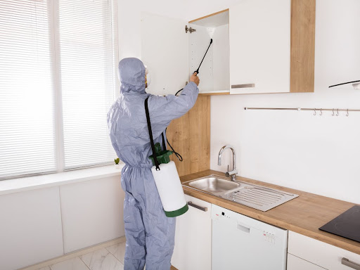 Perez Pest Solutions