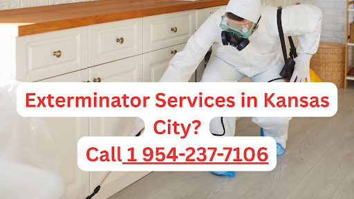 Pest Control KC