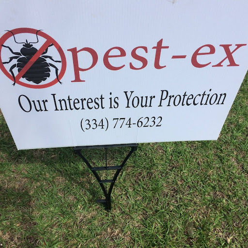 Pest-Ex