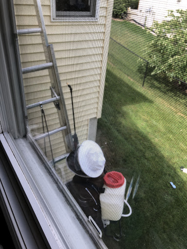 Pest control near me in Stewartville