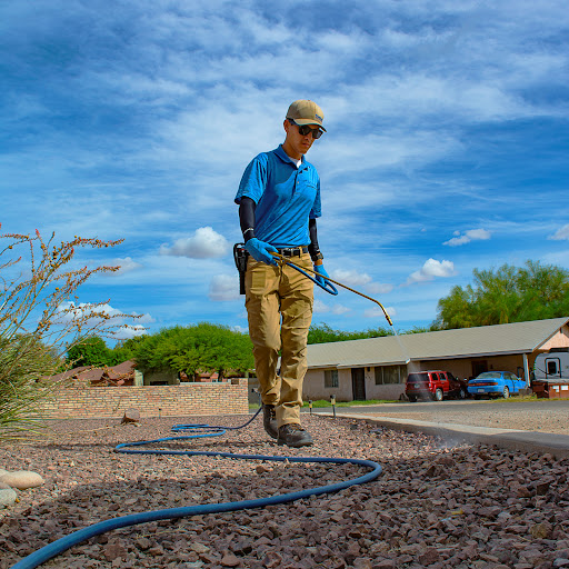 PesTech Professional Pest Control Services
