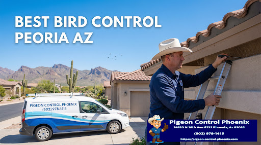 Pigeon Control Phoenix